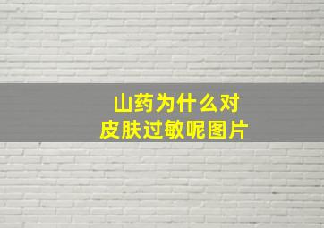 山药为什么对皮肤过敏呢图片