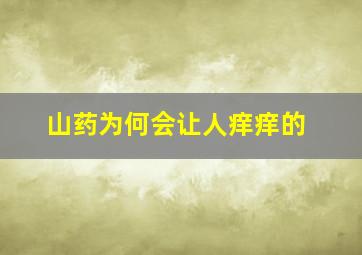 山药为何会让人痒痒的