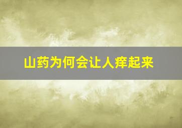 山药为何会让人痒起来