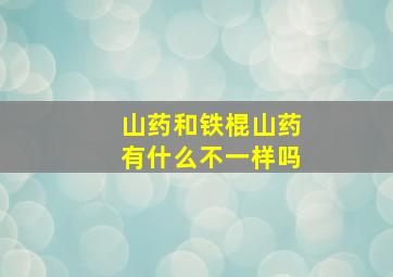 山药和铁棍山药有什么不一样吗