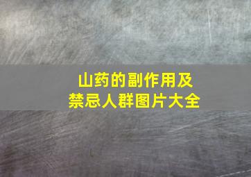 山药的副作用及禁忌人群图片大全