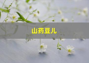 山药豆儿