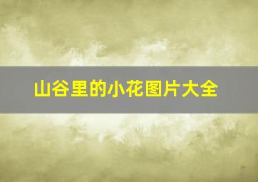 山谷里的小花图片大全