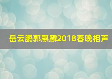 岳云鹏郭麒麟2018春晚相声