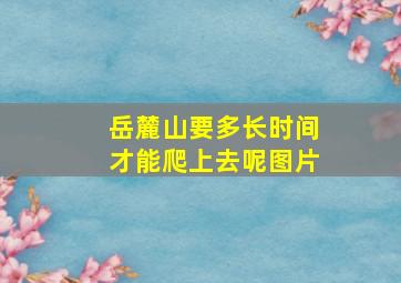 岳麓山要多长时间才能爬上去呢图片