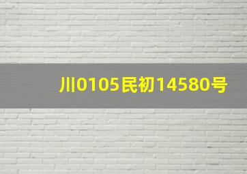 川0105民初14580号