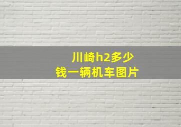 川崎h2多少钱一辆机车图片