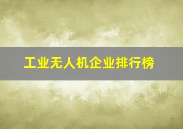 工业无人机企业排行榜