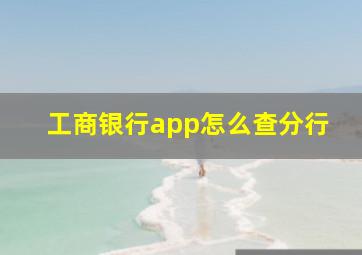 工商银行app怎么查分行