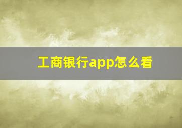 工商银行app怎么看