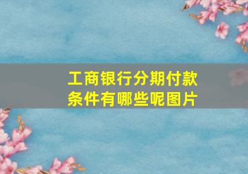 工商银行分期付款条件有哪些呢图片