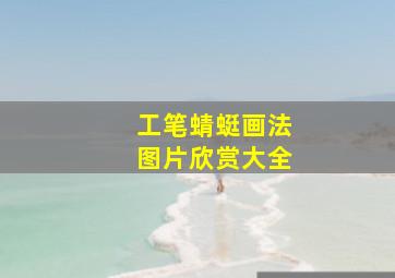 工笔蜻蜓画法图片欣赏大全