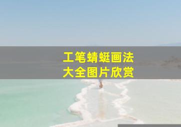 工笔蜻蜓画法大全图片欣赏