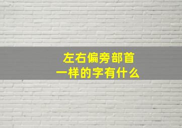 左右偏旁部首一样的字有什么