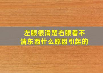 左眼很清楚右眼看不清东西什么原因引起的