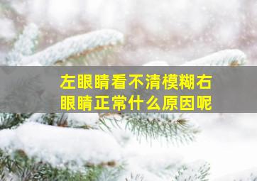 左眼睛看不清模糊右眼睛正常什么原因呢