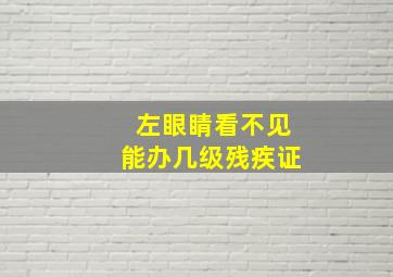 左眼睛看不见能办几级残疾证