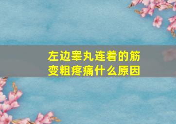 左边睾丸连着的筋变粗疼痛什么原因