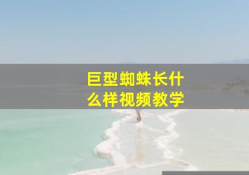 巨型蜘蛛长什么样视频教学