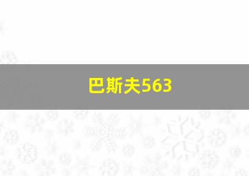 巴斯夫563