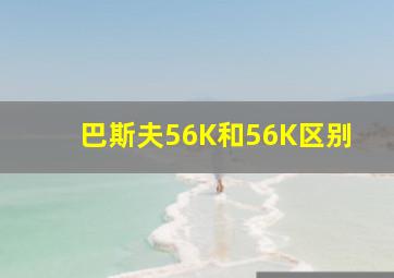 巴斯夫56K和56K区别