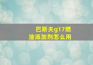 巴斯夫g17燃油添加剂怎么用