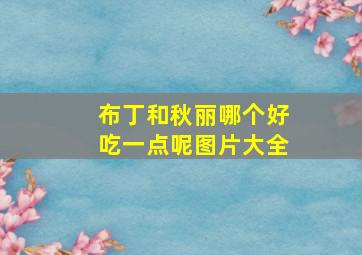 布丁和秋丽哪个好吃一点呢图片大全