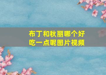 布丁和秋丽哪个好吃一点呢图片视频