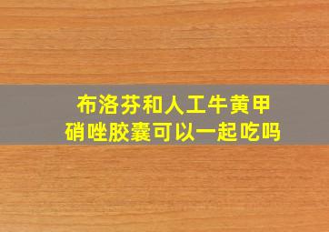 布洛芬和人工牛黄甲硝唑胶囊可以一起吃吗