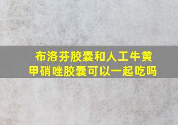 布洛芬胶囊和人工牛黄甲硝唑胶囊可以一起吃吗