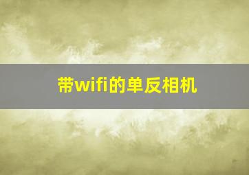 带wifi的单反相机