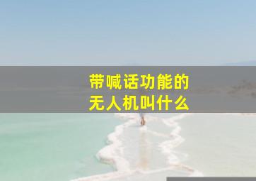 带喊话功能的无人机叫什么