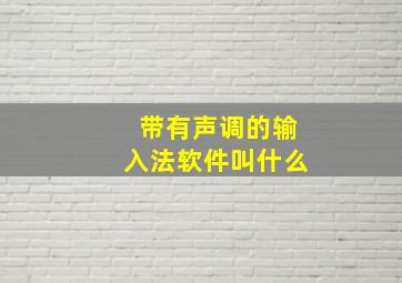 带有声调的输入法软件叫什么