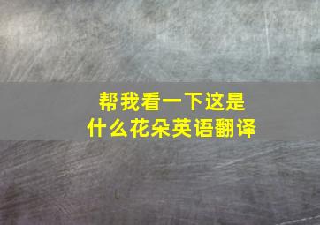 帮我看一下这是什么花朵英语翻译