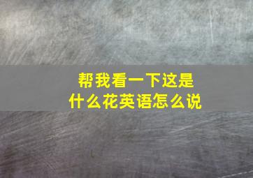 帮我看一下这是什么花英语怎么说