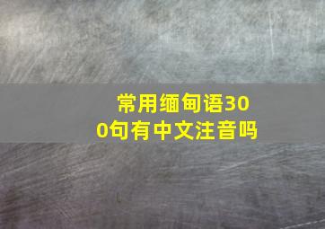 常用缅甸语300句有中文注音吗