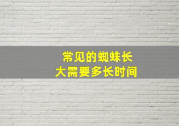 常见的蜘蛛长大需要多长时间