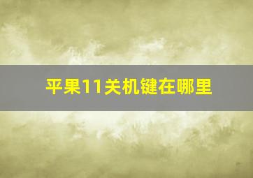 平果11关机键在哪里