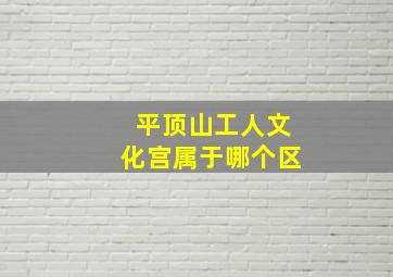 平顶山工人文化宫属于哪个区