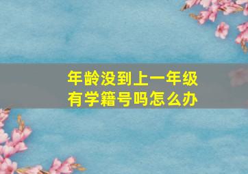 年龄没到上一年级有学籍号吗怎么办