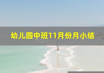 幼儿园中班11月份月小结