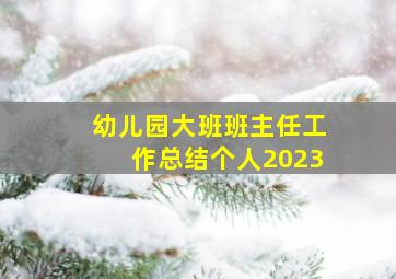 幼儿园大班班主任工作总结个人2023