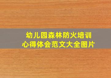 幼儿园森林防火培训心得体会范文大全图片