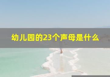 幼儿园的23个声母是什么