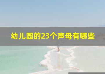 幼儿园的23个声母有哪些