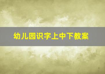 幼儿园识字上中下教案