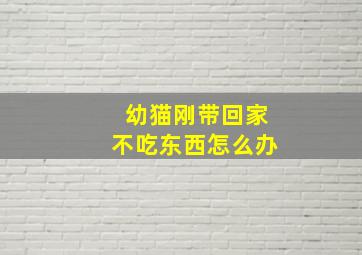 幼猫刚带回家不吃东西怎么办