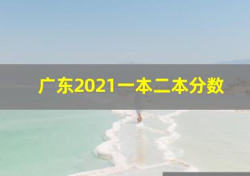 广东2021一本二本分数