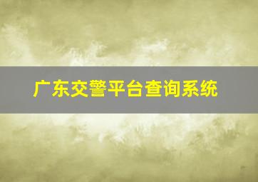 广东交警平台查询系统