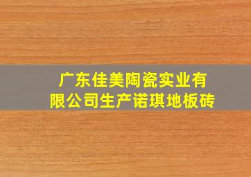 广东佳美陶瓷实业有限公司生产诺琪地板砖